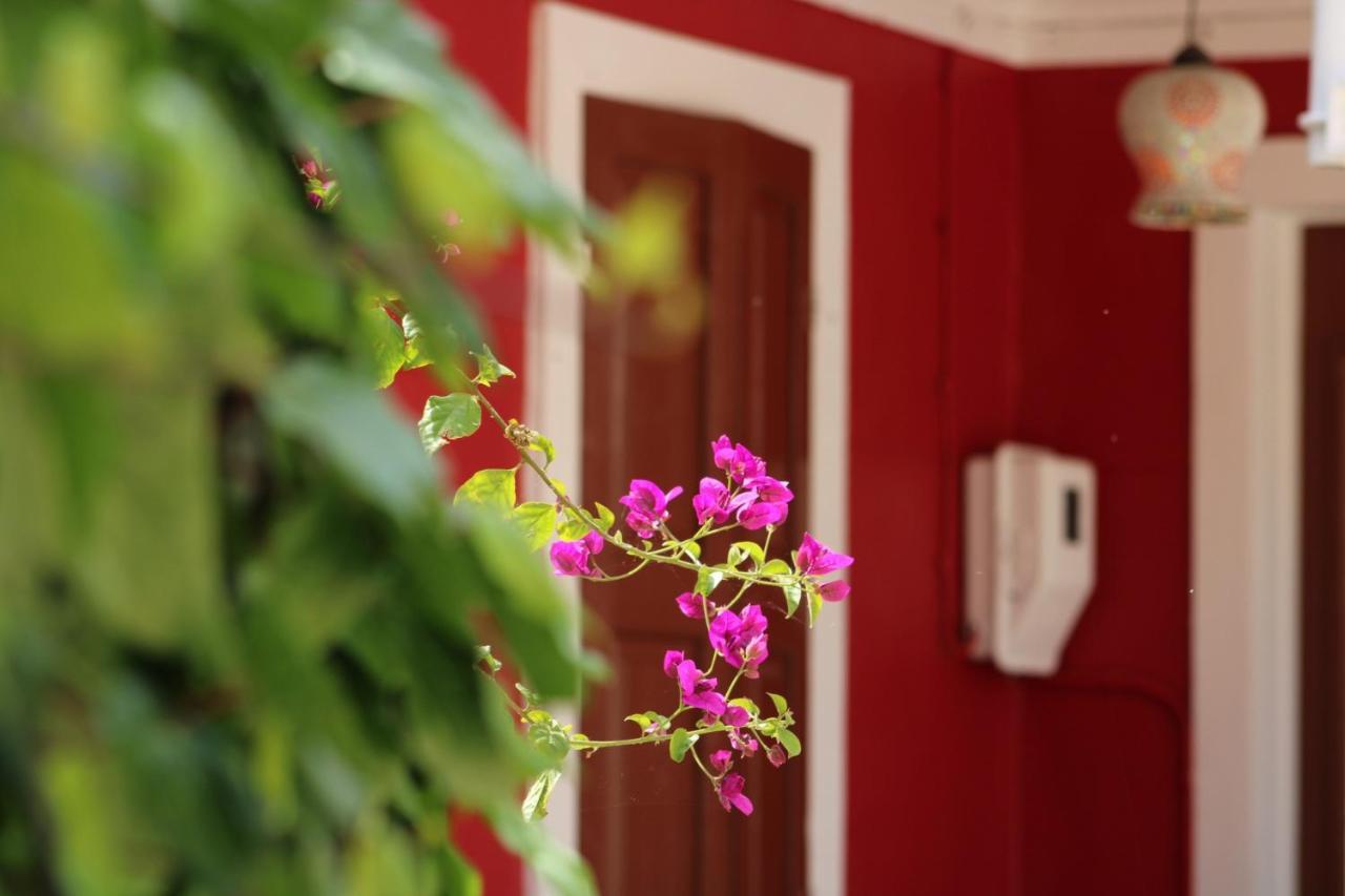 Penelope'S Street Old House Apartment Lefkada City Exterior photo